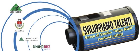 borsa di studio vigo nulli jpg