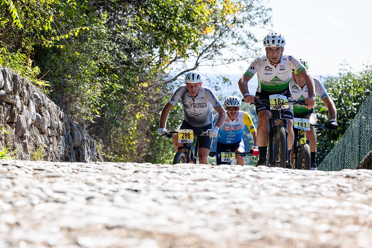 1145-LaDarioAcquaroli2024 copia